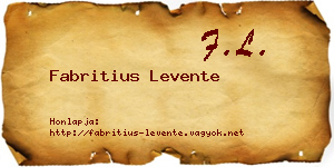 Fabritius Levente névjegykártya